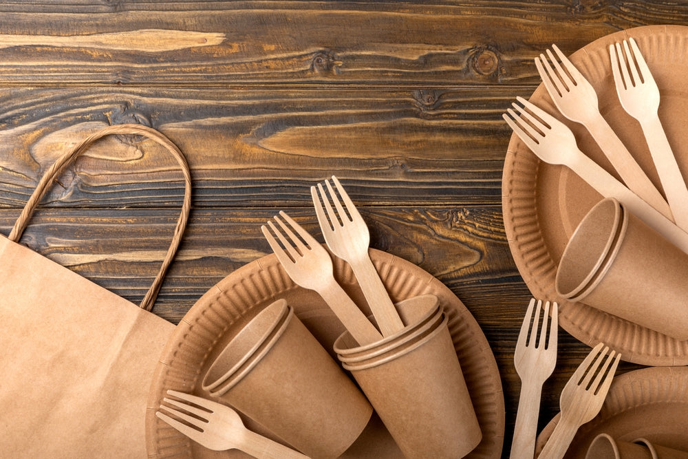 Umweltfreundliche Alternativen: Einweggeschirr aus Pappe vs. Plastikgeschirr